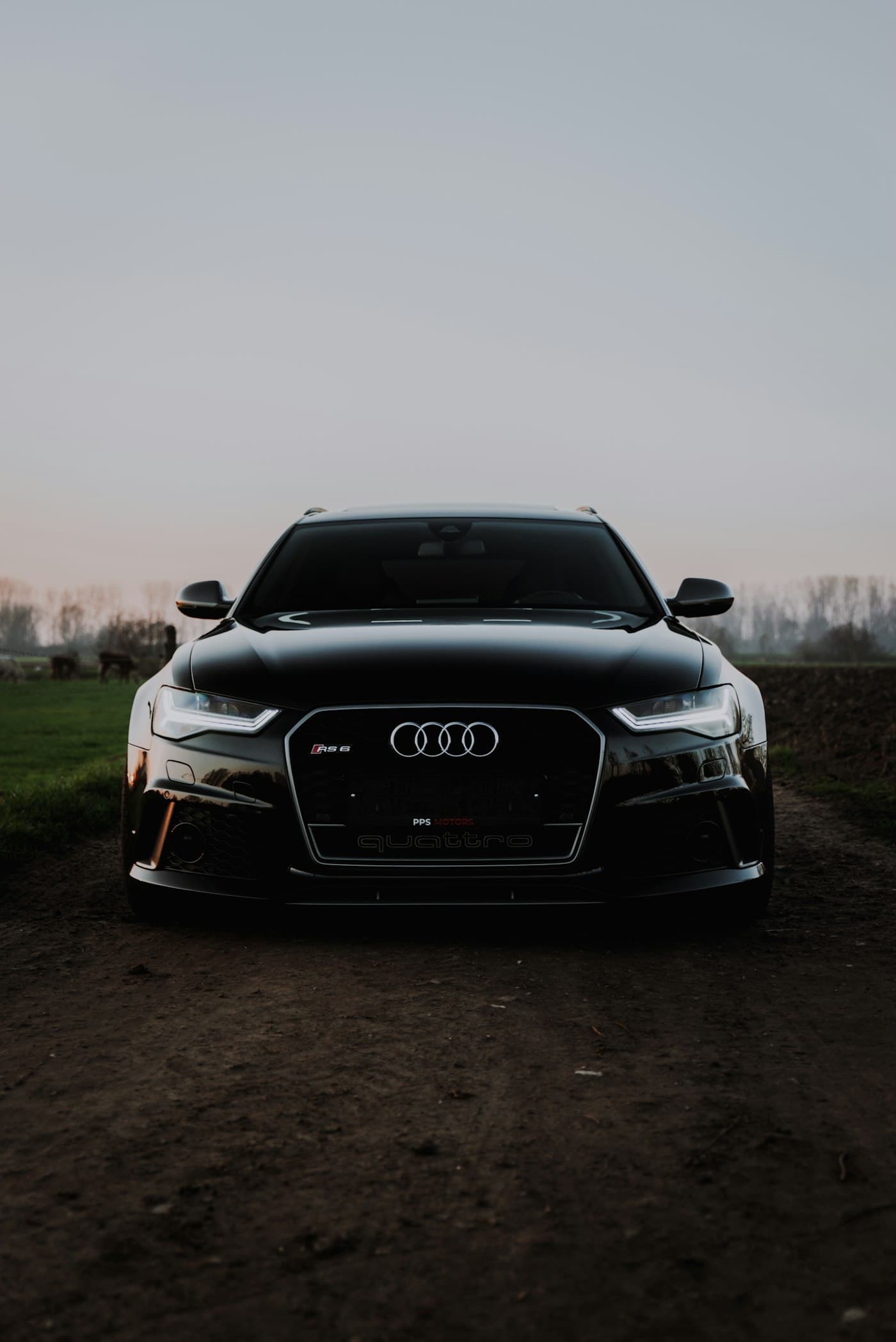 Audi RS6 Avant, 2019